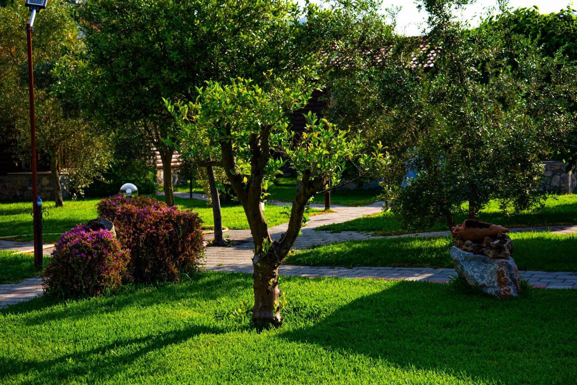 Defne Olive Gardens, Koca Calis, Fethiye - Previously Defne Pansiyon Esterno foto